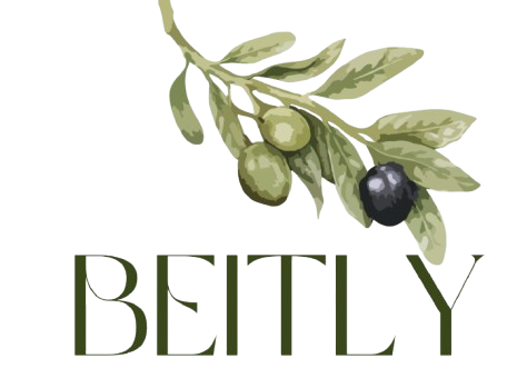 whatsapp image 2025 12 19 at 14.58.37 72698b6f removebg preview